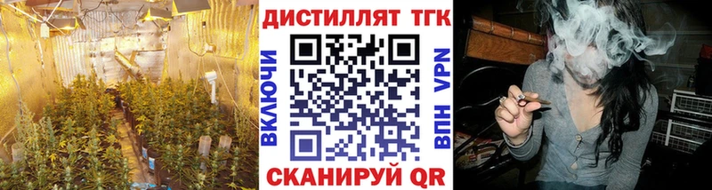 мега ссылки Суворов Дистиллят ТГК THC oil