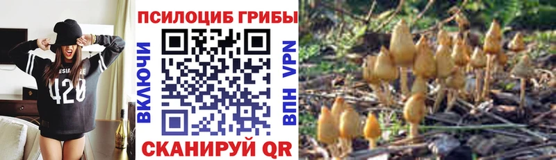 Галлюциногенные грибы Cubensis  Суворов 