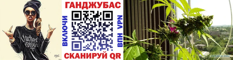 Шишки марихуана OG Kush  наркошоп  Суворов 